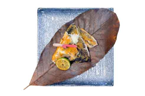 Miso Grilled Salmon Kama